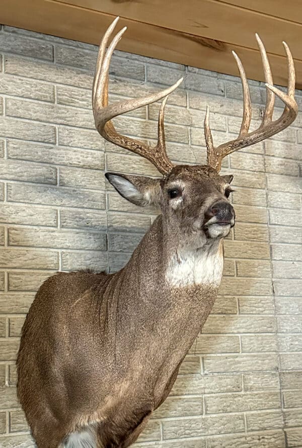 Excellent hunting and abundant wildlife on this Nebraska ranch for sale.